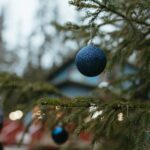 pexels-yaroslav-shuraev-6184947