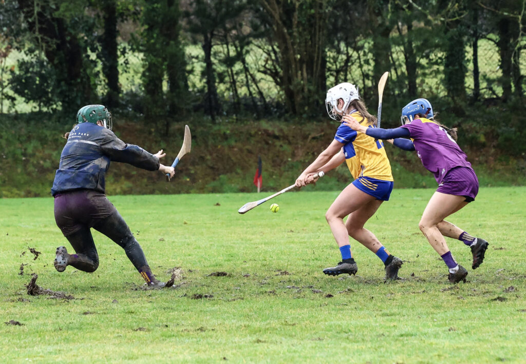 clare v wexford camogie 21-02-26 maeve milliea 1