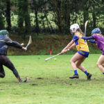 clare v wexford camogie 21-02-26 maeve milliea 1