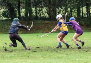 clare v wexford camogie 21-02-26 maeve milliea 1