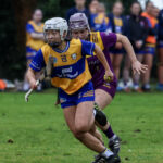 clare v wexford camogie 21-02-26 zi yan spillane 2