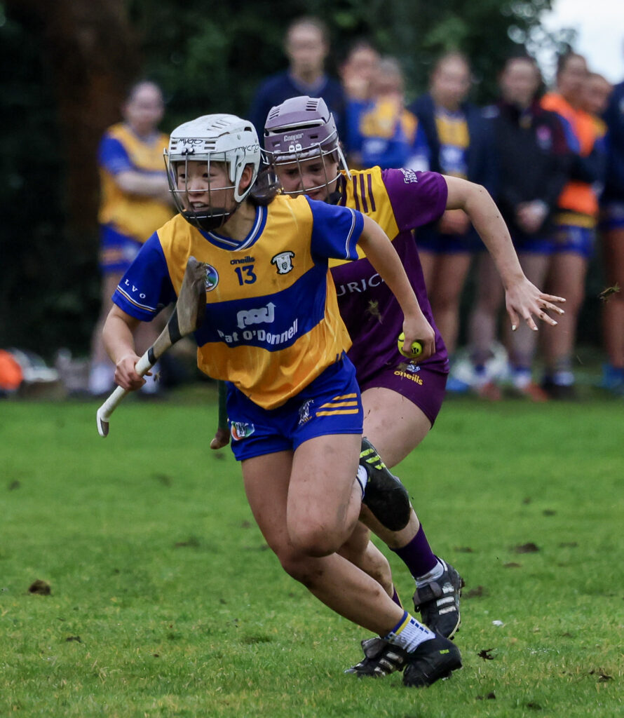 clare v wexford camogie 21-02-26 zi yan spillane 2
