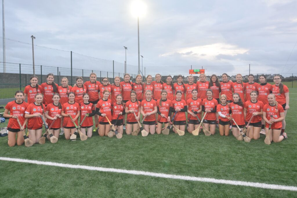 colaiste camogie 1
