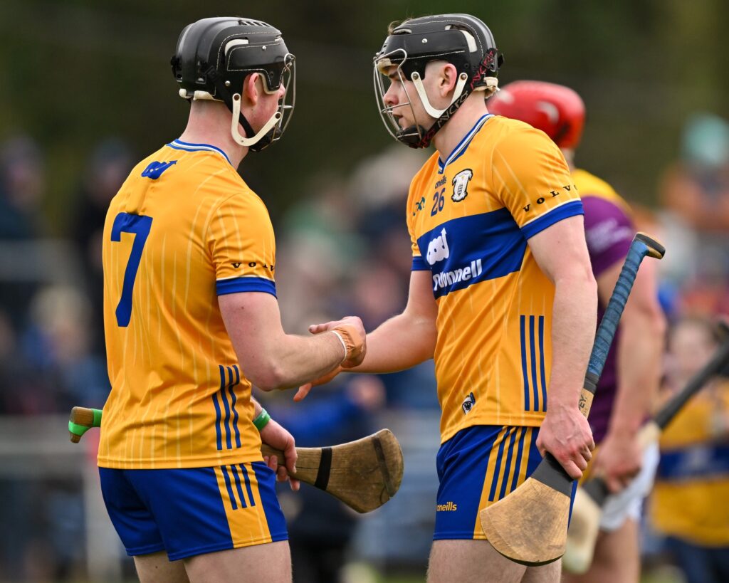 clare v wexford 08-03-26 niall o'farrell john conneally 1