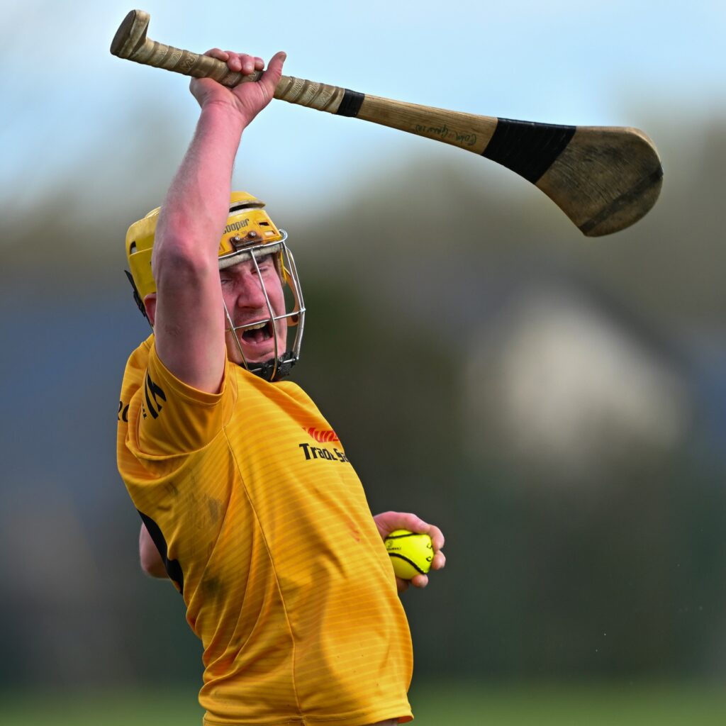 newmarket-on-fergus vs clonlara 28-03-26 colm galvin 3