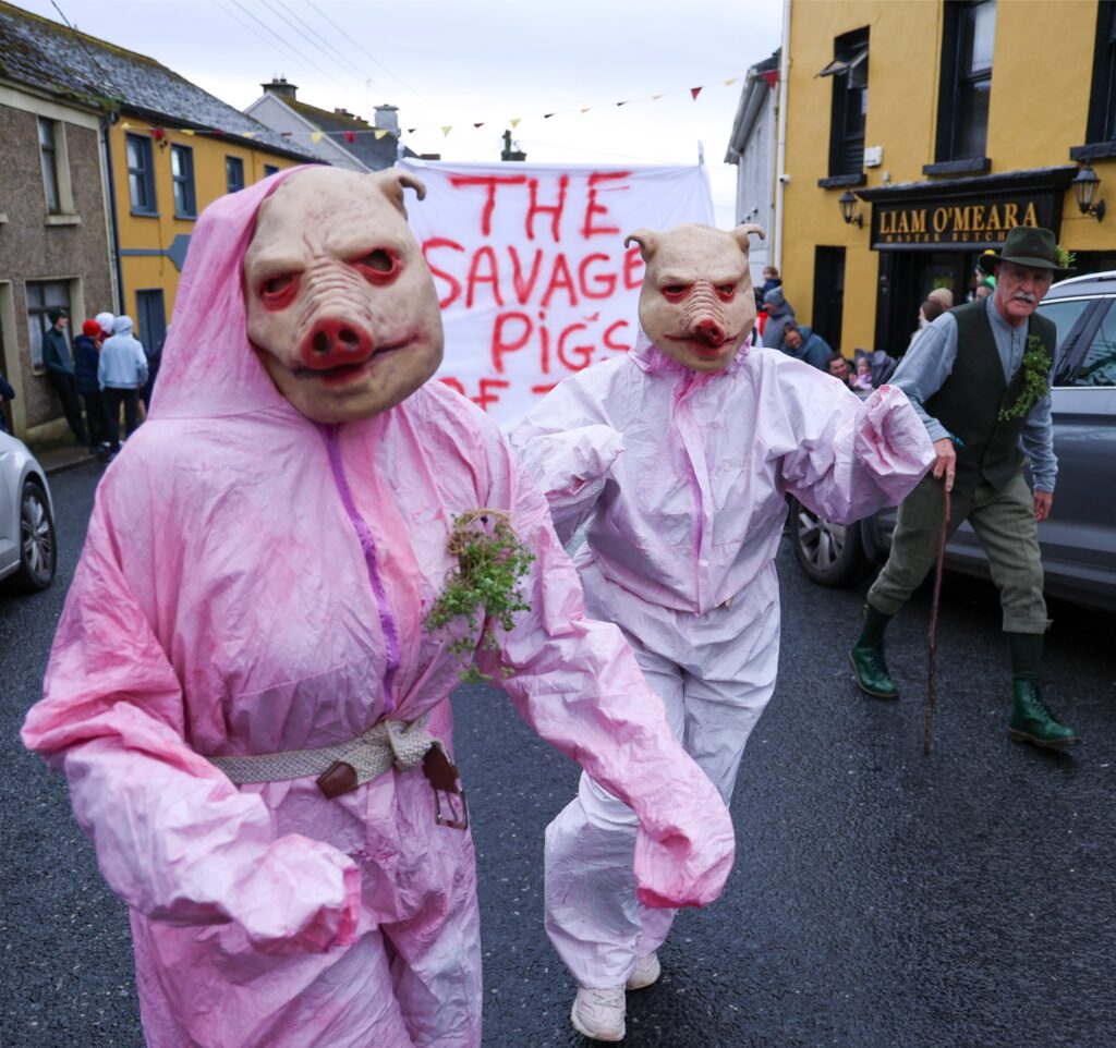 tulla st patricks day parade 17-03-26 pigs 2