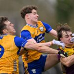 wexford vs clare 15-03-26 cillian brennan shane griffin 2
