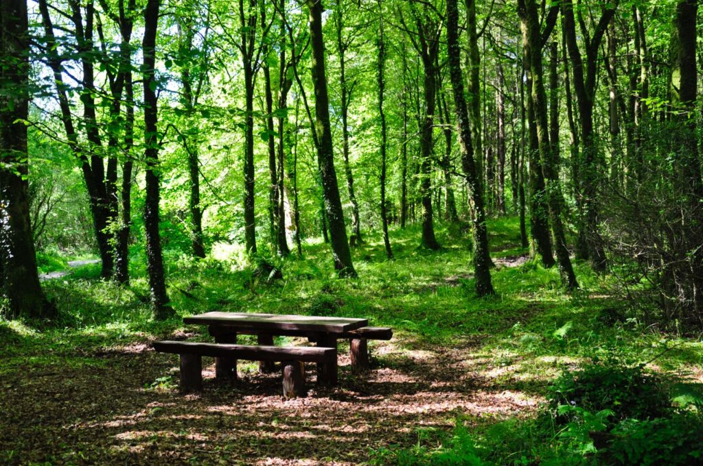 woodpark mountshannon 1-2