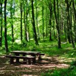 woodpark mountshannon 1-2