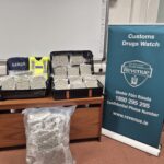cannabis shannon 11-05-26 1