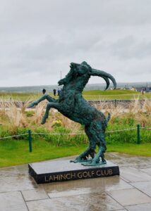 lahinch golf club goat 1