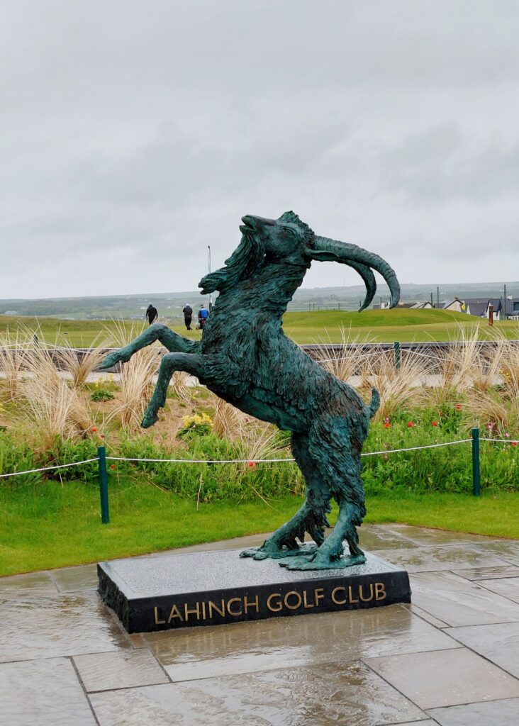 lahinch golf club goat 1