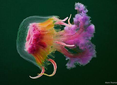 images (8)