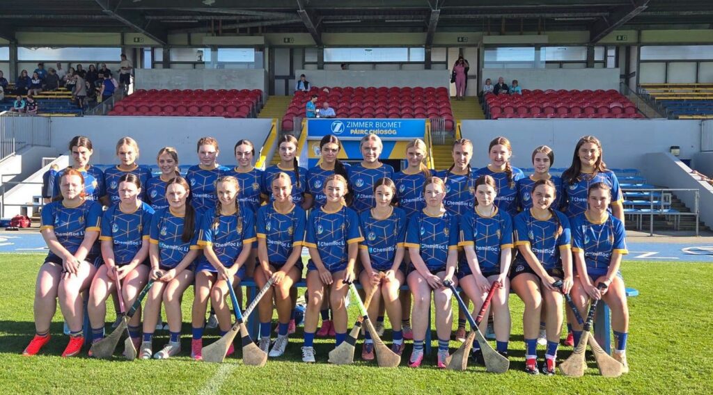 newmarket-on-fergus minor camogie 1