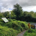 ballybeg woods 1