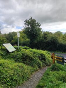 ballybeg woods 1