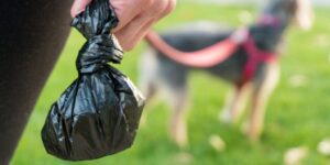 dog-poo-bag