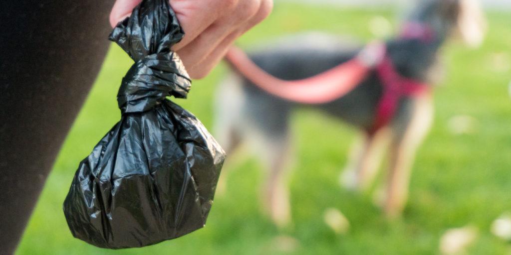 dog-poo-bag